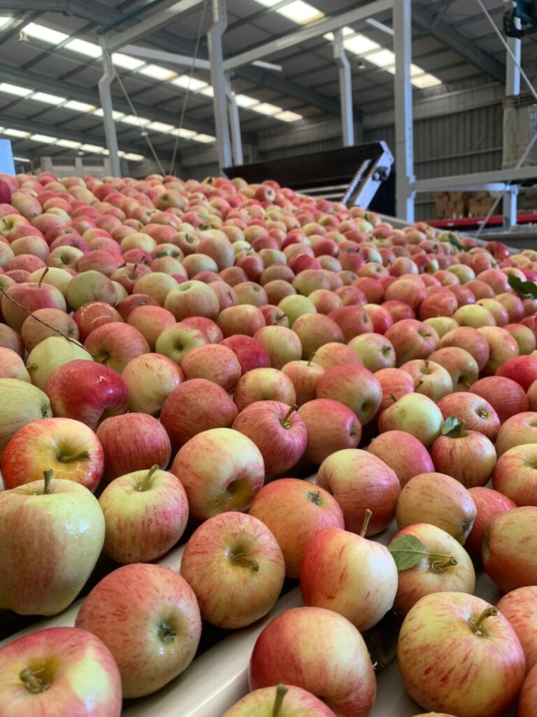 WhatsApp Image 2024-04-20 at 08.56.09 (1)