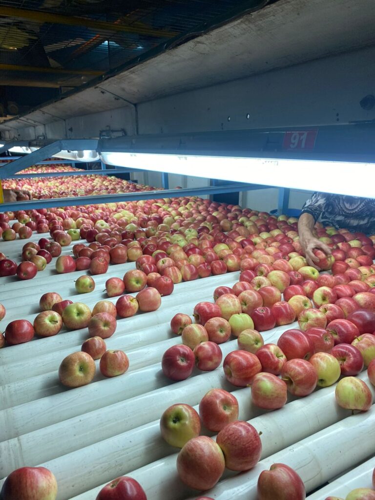 WhatsApp Image 2024-04-20 at 08.56.11 (1)